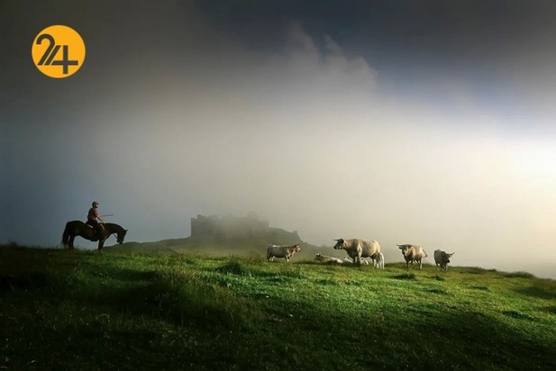 مسابقه عکاسی غذا ۲۰۲۱