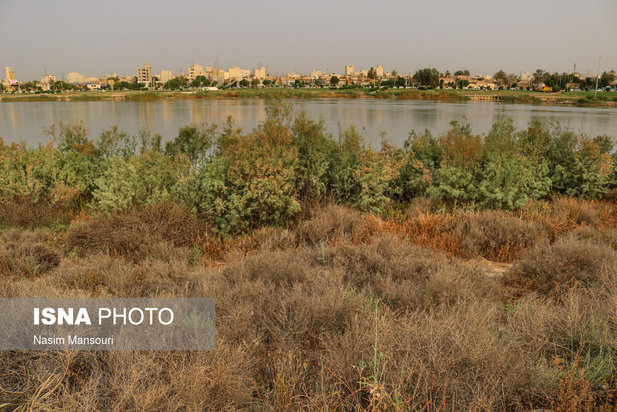 رود کارون در حال احتضار