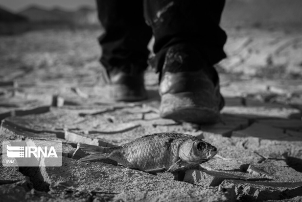 آثار خشکسالی در سیستان