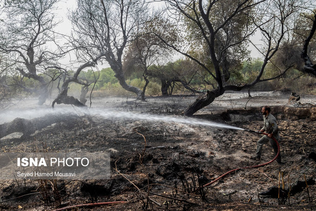 مهار آتش سوزی جنگل کرخه در شوش
