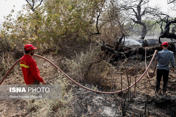 مهار آتش سوزی جنگل کرخه در شوش