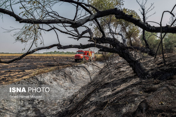 مهار آتش سوزی جنگل کرخه در شوش