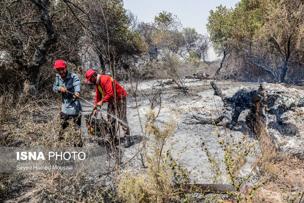 مهار آتش سوزی جنگل کرخه در شوش
