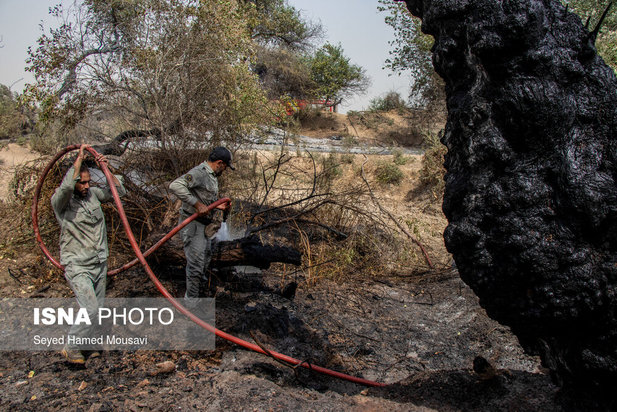 مهار آتش سوزی جنگل کرخه در شوش