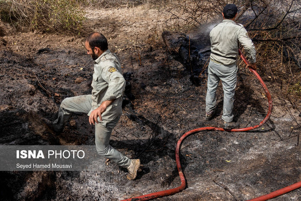 مهار آتش سوزی جنگل کرخه در شوش