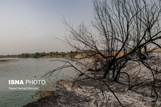 مهار آتش سوزی جنگل کرخه در شوش