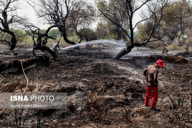 مهار آتش سوزی جنگل کرخه در شوش