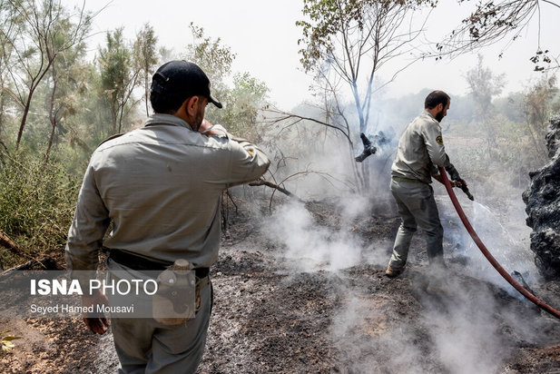 مهار آتش سوزی جنگل کرخه در شوش