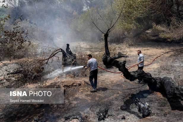مهار آتش سوزی جنگل کرخه در شوش