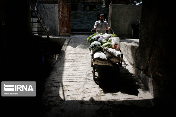 تولد نخستین بچه فیل آسیایی در باغ وحش ارم تهران