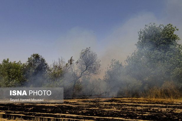 ادامه آتش سوزی در جنگل‌های کرخه