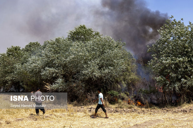 ادامه آتش سوزی در جنگل‌های کرخه