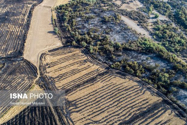 ادامه آتش سوزی در جنگل‌های کرخه