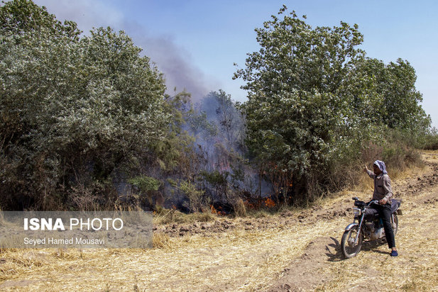 ادامه آتش سوزی در جنگل‌های کرخه
