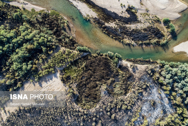 ادامه آتش سوزی در جنگل‌های کرخه