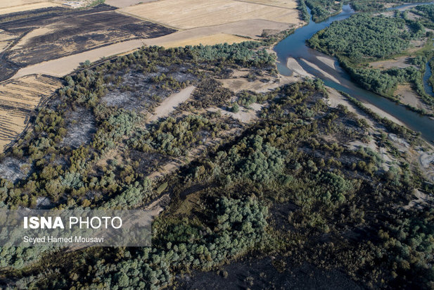 ادامه آتش سوزی در جنگل‌های کرخه