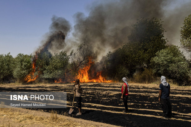 ادامه آتش سوزی در جنگل‌های کرخه