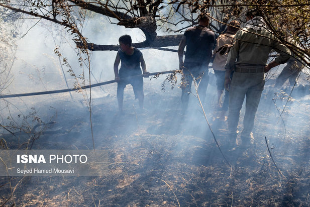 ادامه آتش سوزی در جنگل‌های کرخه