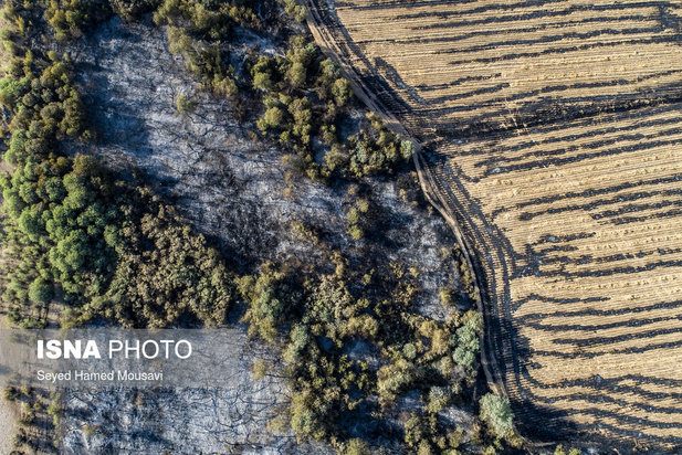 ادامه آتش سوزی در جنگل‌های کرخه