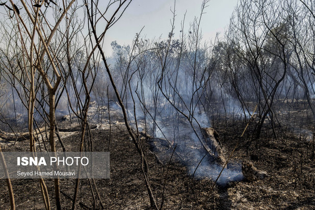 ادامه آتش سوزی در جنگل‌های کرخه
