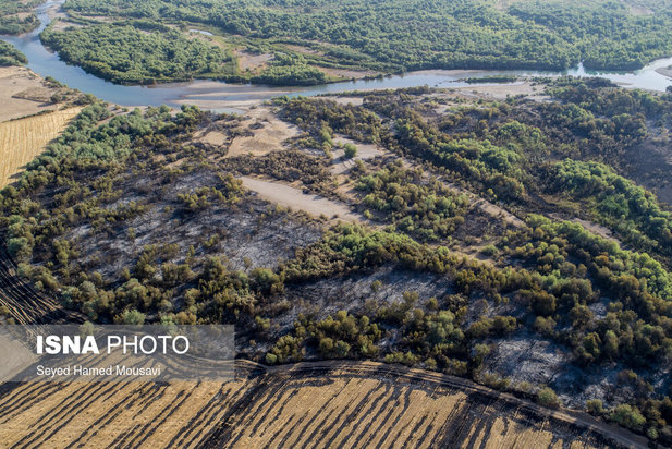 ادامه آتش سوزی در جنگل‌های کرخه