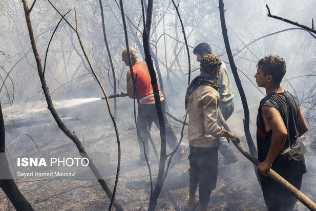 ادامه آتش سوزی در جنگل‌های کرخه
