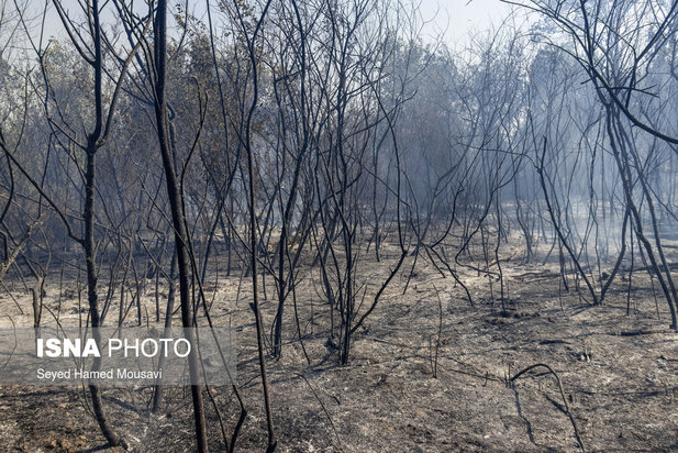 ادامه آتش سوزی در جنگل‌های کرخه