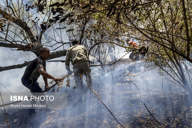 ادامه آتش سوزی در جنگل‌های کرخه