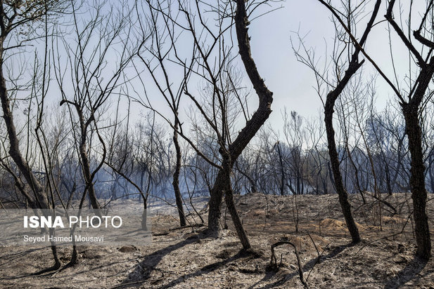 ادامه آتش سوزی در جنگل‌های کرخه
