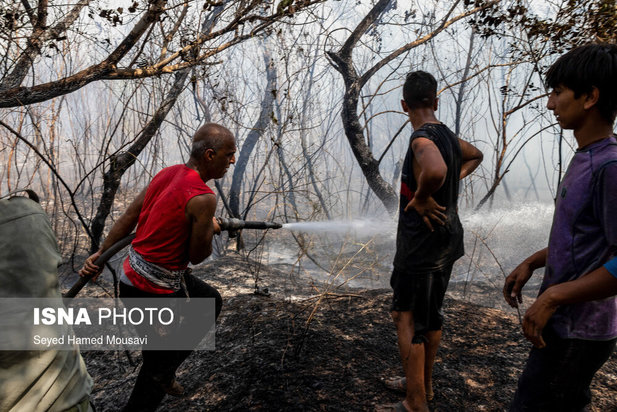 ادامه آتش سوزی در جنگل‌های کرخه