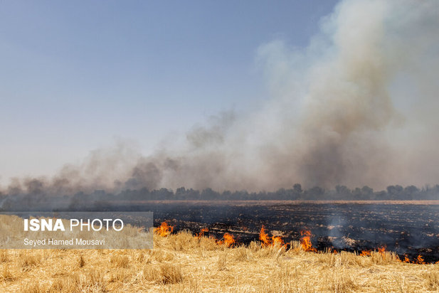 ادامه آتش سوزی در جنگل‌های کرخه