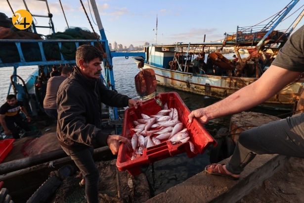 بازگشت ماهیگیران غزه به دریا