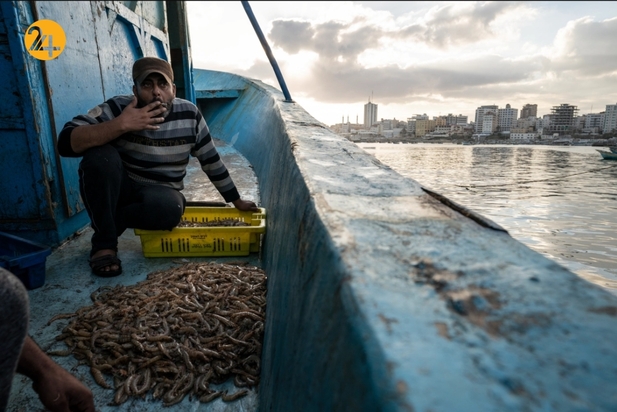 بازگشت ماهیگیران غزه به دریا