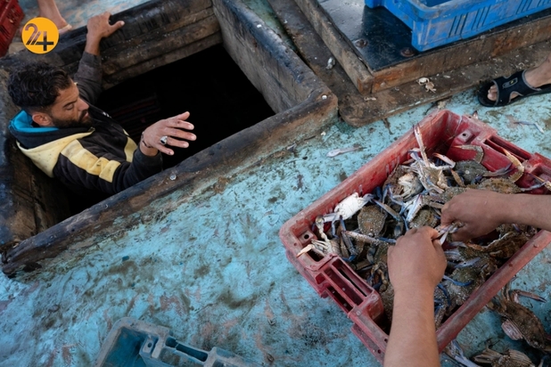 بازگشت ماهیگیران غزه به دریا