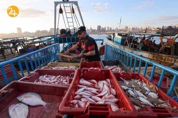 بازگشت ماهیگیران غزه به دریا