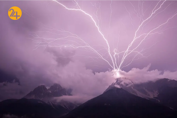 بهترین تصاویر از حیات وحش