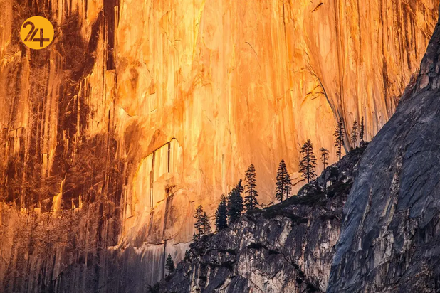 بهترین تصاویر از حیات وحش