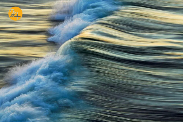 بهترین تصاویر از حیات وحش