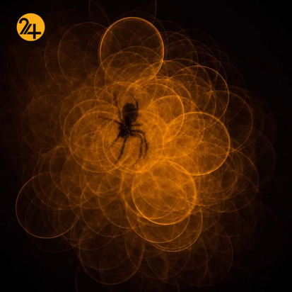 بهترین تصاویر از حیات وحش