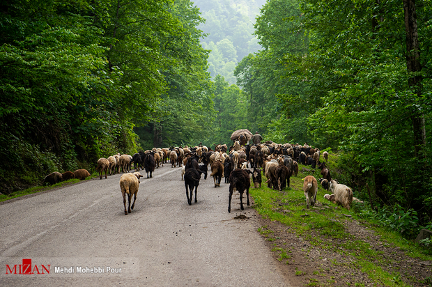 مازندران بهشت گمشده