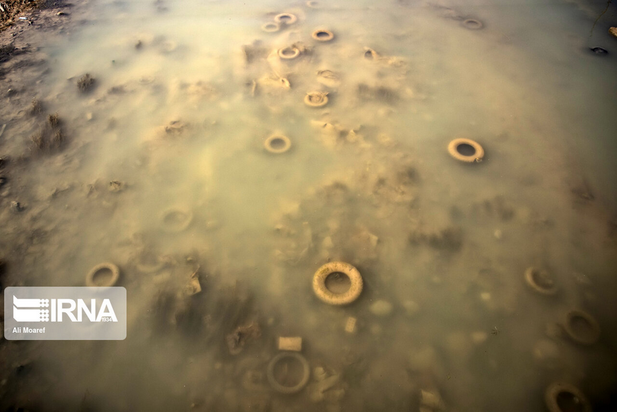 گاومیش‌های تشنه خوزستان