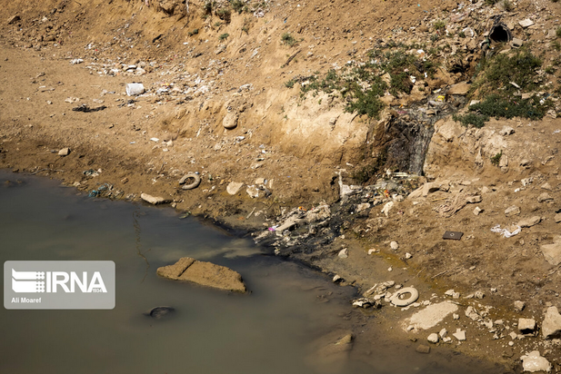 گاومیش‌های تشنه خوزستان