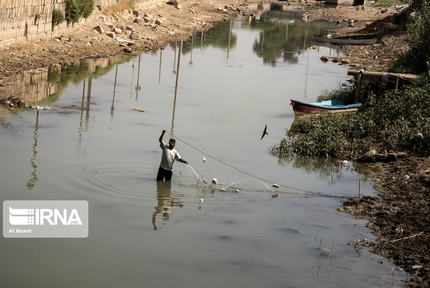 گاومیش‌های تشنه خوزستان