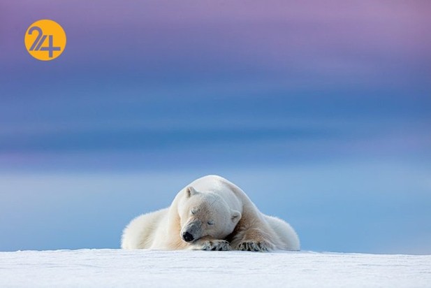 اعلام برندگان مسابقه عکاسی طبیعت ۲۰۲۱