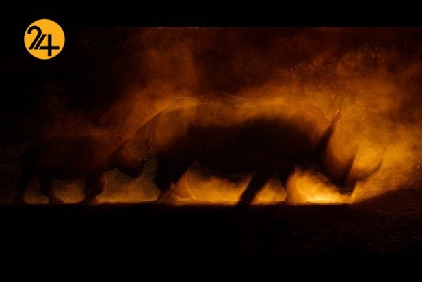 اعلام برندگان مسابقه عکاسی طبیعت ۲۰۲۱