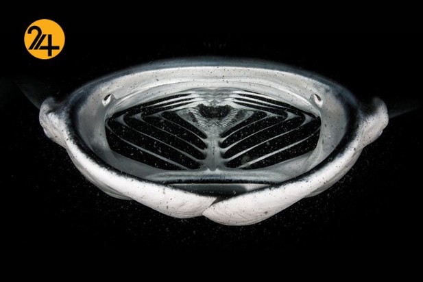 اعلام برندگان مسابقه عکاسی طبیعت ۲۰۲۱