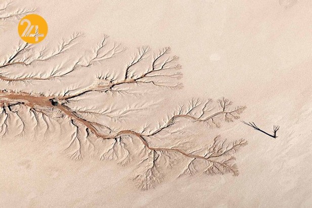 اعلام برندگان مسابقه عکاسی طبیعت ۲۰۲۱