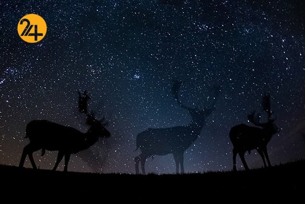 اعلام برندگان مسابقه عکاسی طبیعت ۲۰۲۱