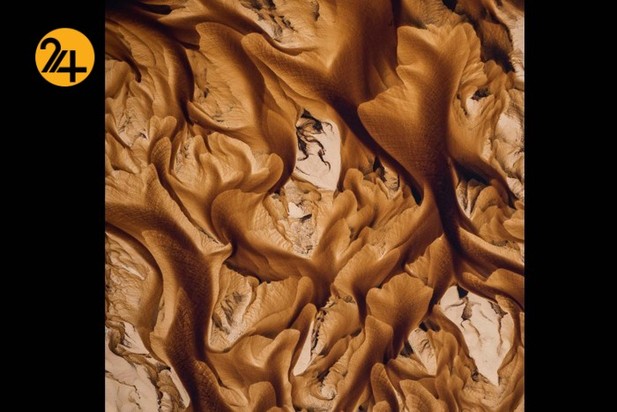 اعلام برندگان مسابقه عکاسی طبیعت ۲۰۲۱