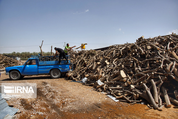 تهیه زغال تهدیدی برای محیط زیست